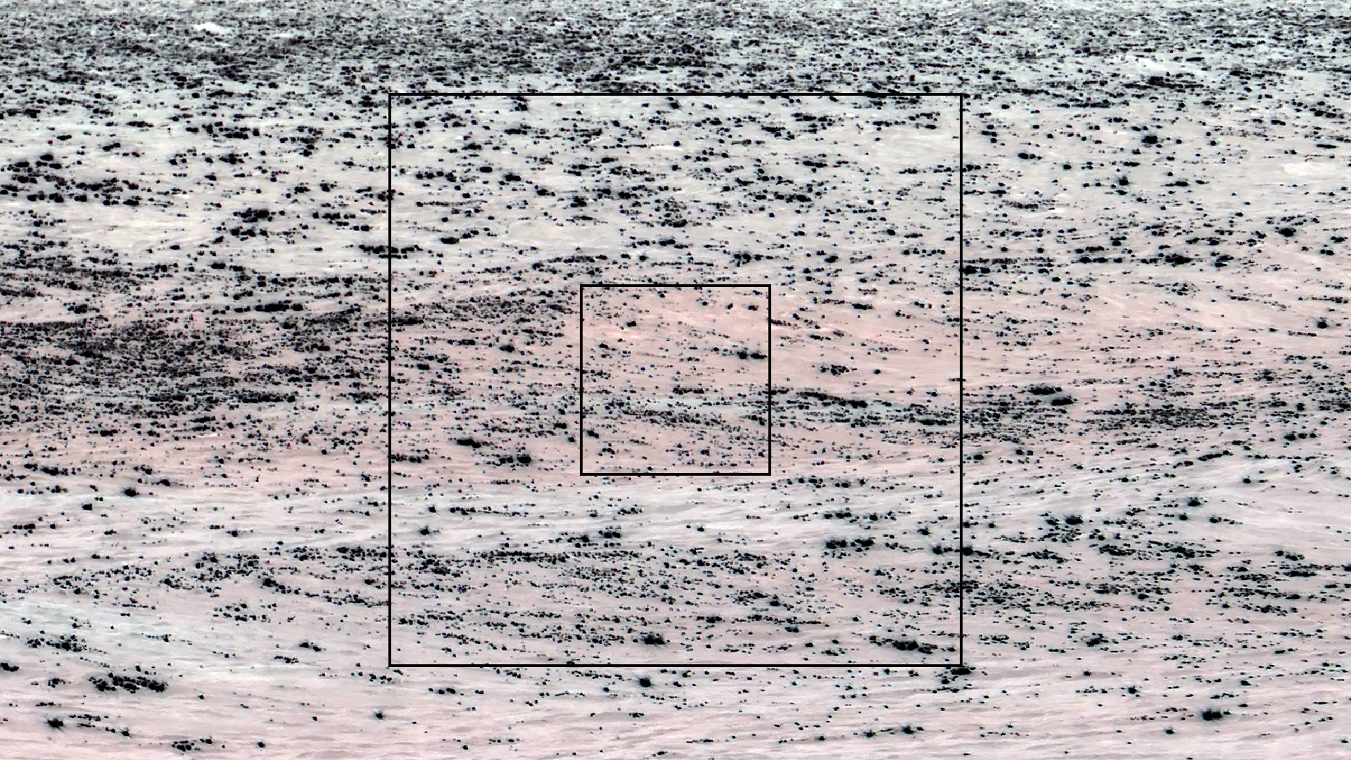 2022-04-21 Playa Porto Mari (Quallenvideo)